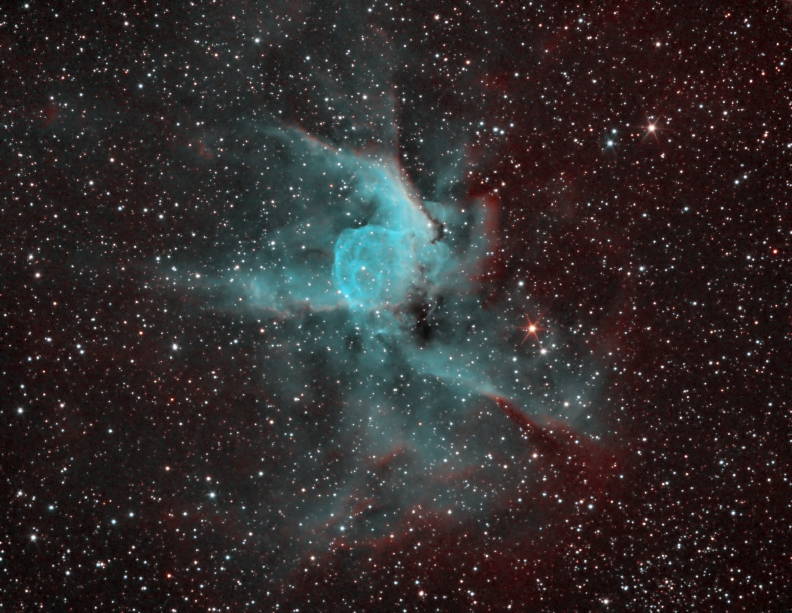 Thor’s helmet – Erellaz